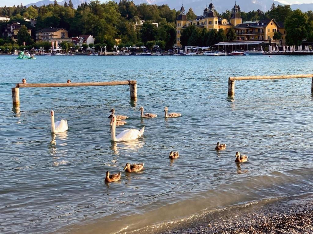 Appartement Mittagskogel Velden am Wörthersee Esterno foto